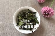 白茶新手的贴心帮手：全方位知识指南助您挑出好茶