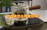 老白茶煮制全知道：茶水比例、烹饪方法和时间一清二楚