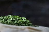 黄芽茶大比拼：黄茶还是绿茶？