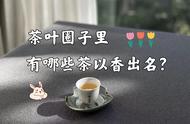 茶叶之旅：肉桂、白牡丹、茉莉花茶，哪款茶最能代表茶圈？