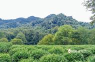 乾隆皇帝御题的“龙井八景”：杭州西湖之外的绝妙风景