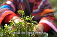 【茶艺欣赏】认识各类常见茶叶