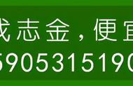 同为西湖龙井，价格差距为何如此之大？深度揭秘！