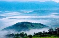 庐山云雾茶：高山云雾，茶的奇迹？