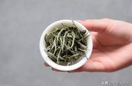 白茶与黑茶，你更喜欢哪一种的香气？