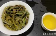 新茶友探索：三款普洱茶推荐，让你的茶艺世界更加多彩