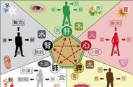 君山银针的“竖立茶身”：茶叶鉴赏的新视角