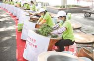 南京市雨花茶手工炒制大赛在钟山风景区绽放茶香