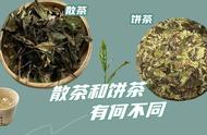 白茶新手必备：4招教你选购寿眉散茶和饼茶的秘诀