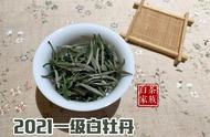 白茶散茶与饼茶：新手茶友该如何品味？