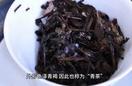 乌龙茶产地大盘点：茶叶知识一网打尽