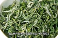 绿茶盛宴：信阳毛尖的传奇