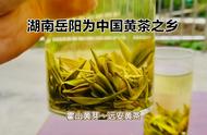 今天你享用了黄茶吗？