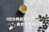 白茶选购新技能：3招让你轻松辨别好坏，避免上当受骗