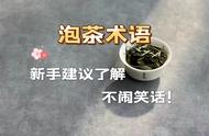 泡茶新手成长记：5个常识性术语让你不再迷茫