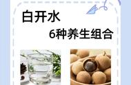 白开水养生茶：办公室养生新宠，让你在工作中焕发青春