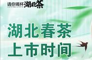 2024湖北春茶上市时间揭晓，你期待的茶已在路上