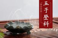 从选到养，茶宠如何成为你的最佳茶侣