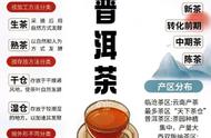 精通普洱茶：全面细致的解析指南